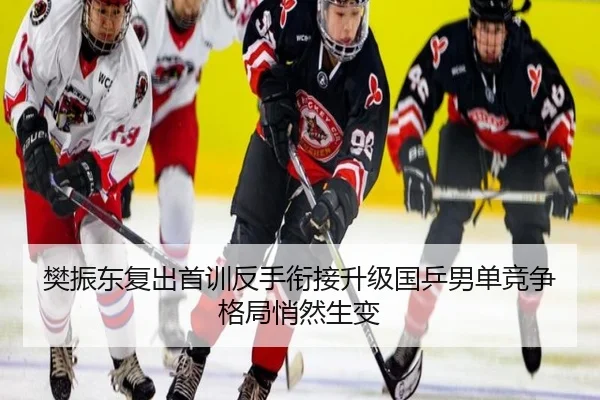 樊振东复出首训反手衔接升级国乒男单竞争格局悄然生变